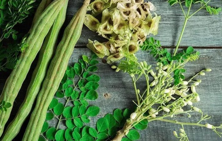 Moringa Benefits