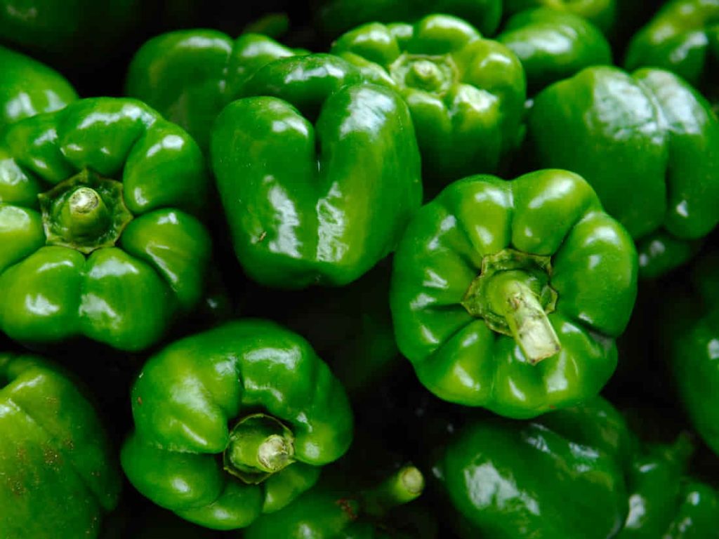 Green Bell Pepper Lot