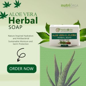 Aloe Vera & jojoba Herbal Soap