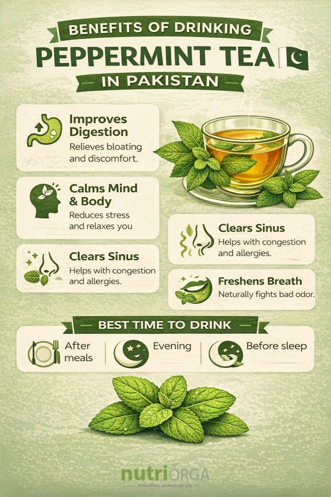 infographic for benefits of drinking peppermint tea