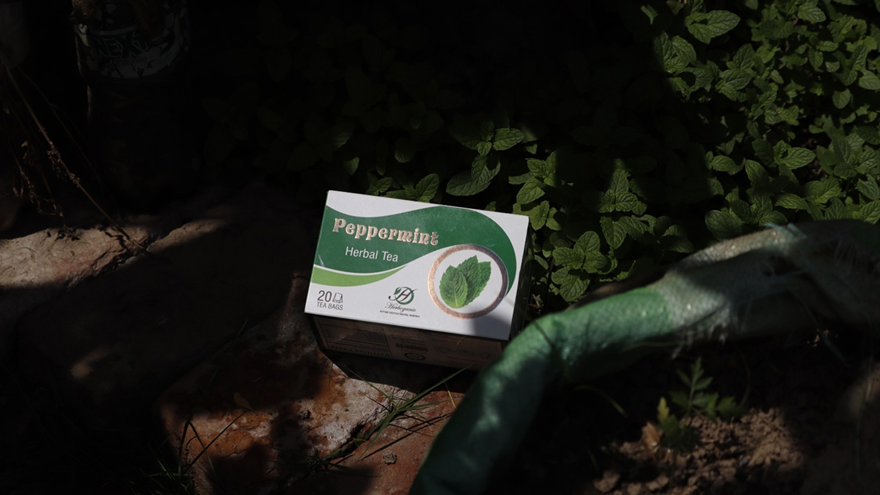 A box of peppermint herbal tea placed near plants